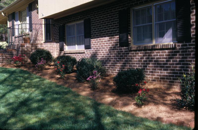 Christmas 1969, 1970, Halloween 1969 3200dpi 090.jpg - processed May 1971